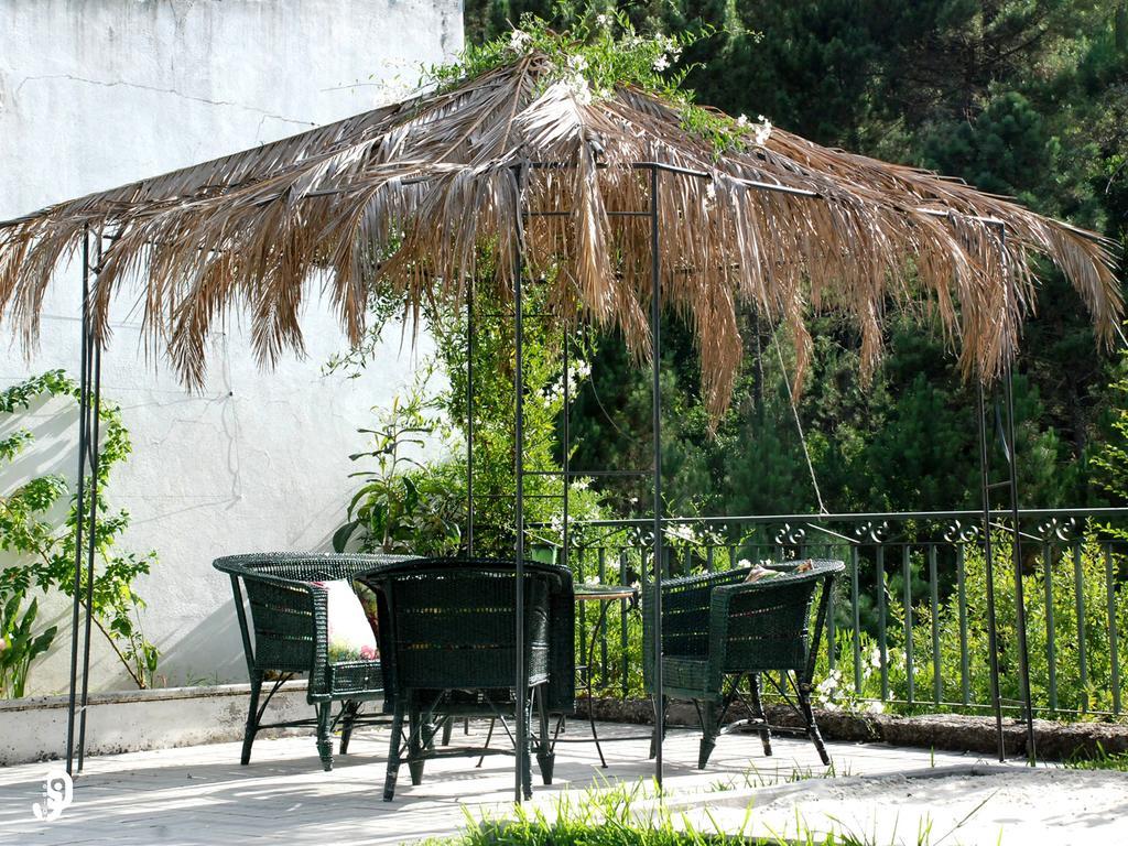 Quinta Dos Barbas Hostal Oliveira do Hospital Exterior foto
