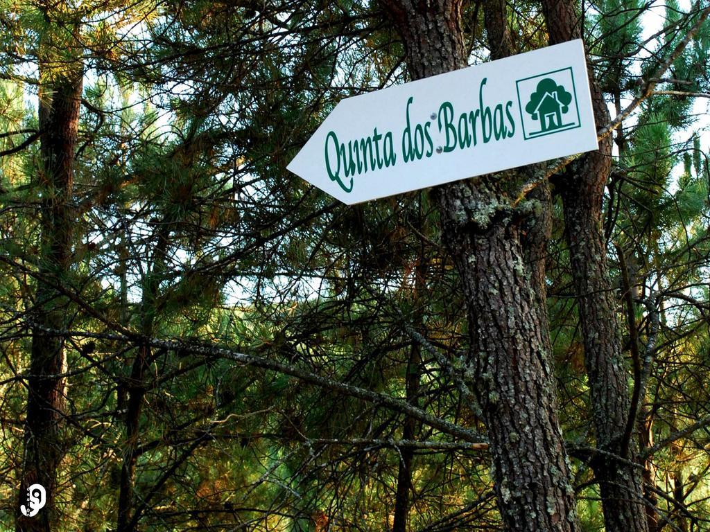 Quinta Dos Barbas Hostal Oliveira do Hospital Exterior foto
